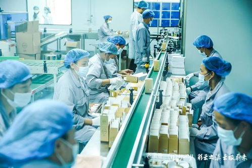 老滇凰云極工廠 以信息技術咨詢服務為引擎，驅動云南蜂業現代化轉型